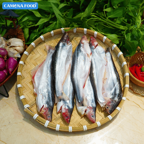 Cá Xác Sọc Tươi 